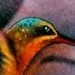 Tattoos - Humming Bird Tattoo - 49851